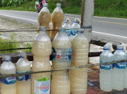 Mengenal Tuak, Jamuan Penghangat Khas Suku Batak