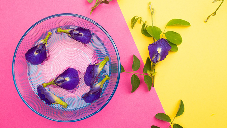 Butterfly Pea, si Biru nan Kaya Antioksidan