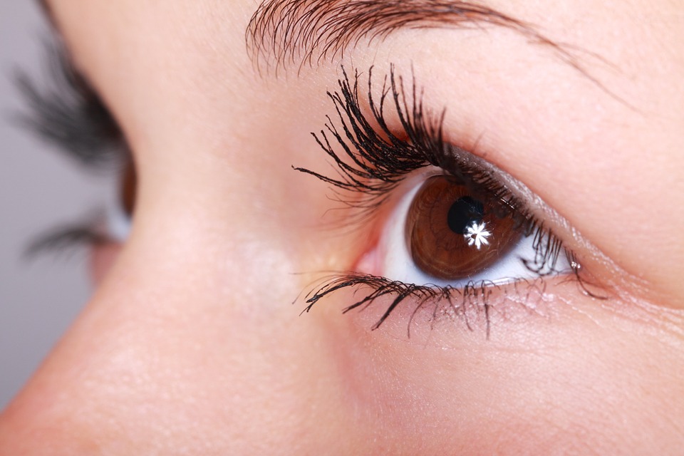 Membuat kulit cepat tua (Sumber: Pixabay/PublicDomainPictures)