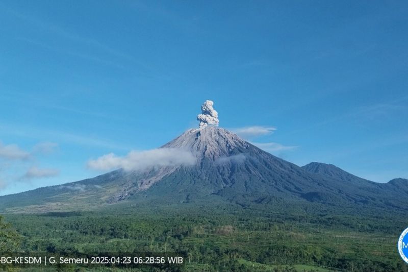 Waspada! Gunung Semeru 4 Kali Erupsi pada Sabtu (24/5) dengan Kolom Abu Capai 800 Meter