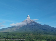 Waspada! Gunung Semeru 4 Kali Erupsi pada Sabtu (24/5) dengan Kolom Abu Capai 800 Meter