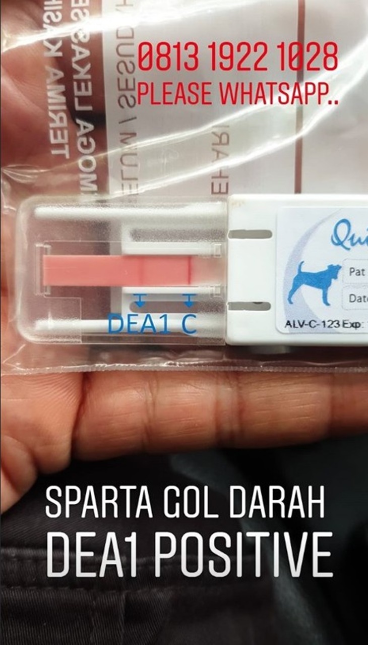 bima aryo