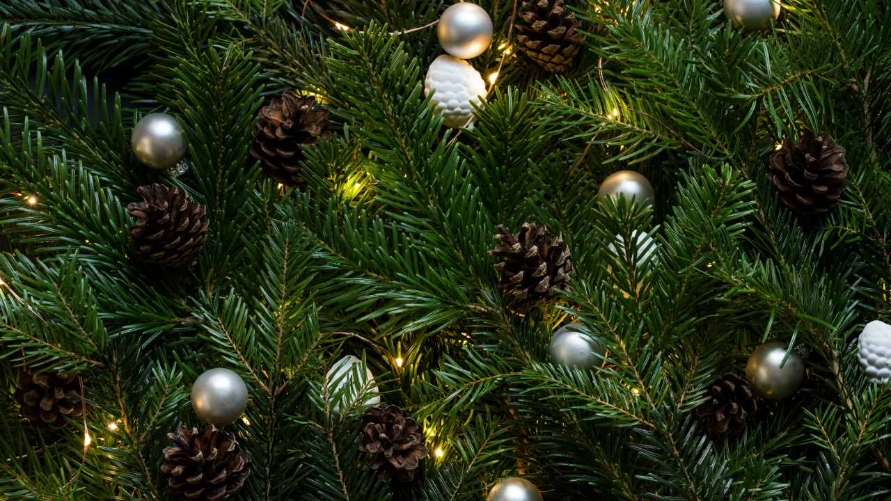 Lirik Lengkap 'Lagu Natal di Hatiku' dari Jonathan Prawira, Hadirkan Suasana Hangat dan Damai