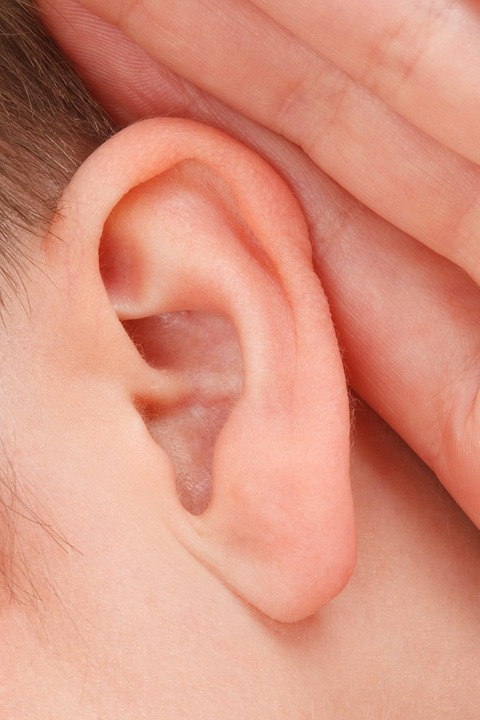 Jerawat di telinga sangat menyakitkan (Foto: Pixabay/PublicDomainPictures)