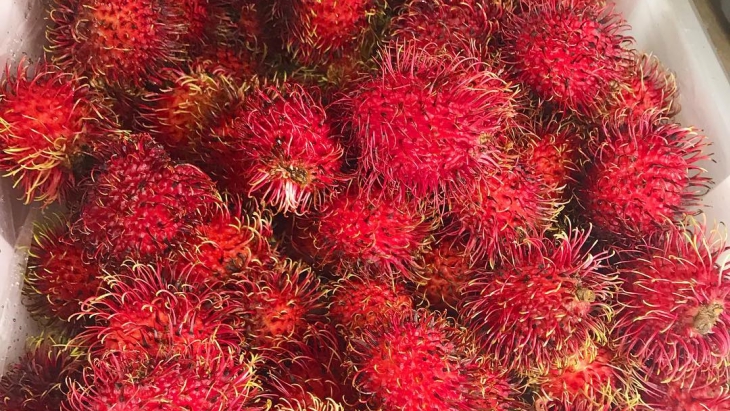 Rambutan mampu mencegah kanker (Foto: Instagram/_redheadvegan)