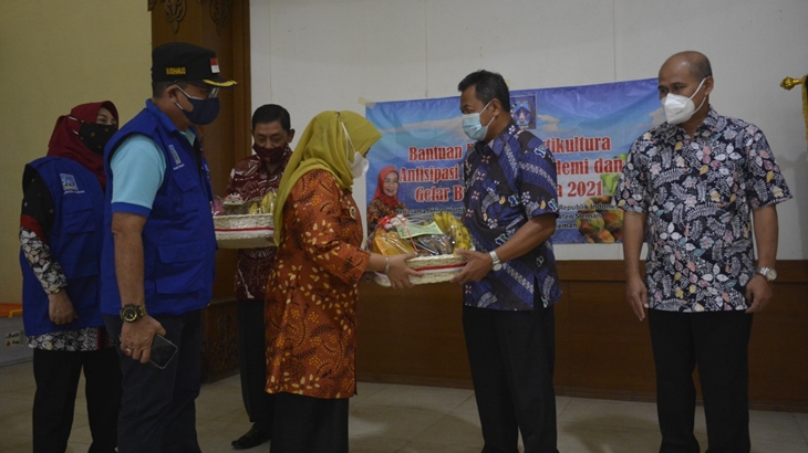 Warga Isoman di Kabupaten Sleman Dapat Kiriman Paket Buah-buahan Gratis