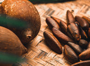 Ini nih, Manfaat Kacang Pinus dalam Mengelola Berat Badan dan Kolesterol