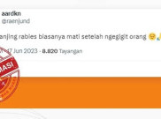 [HOAKS atau FAKTA]: Anjing Rabies Akan Mati Setelah Gigit Manusia
