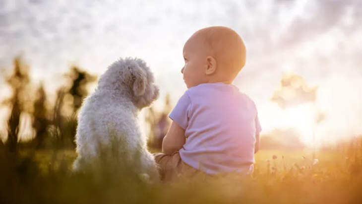 Belum Berpengalaman dengan Anak Kecil? Ini 3 Cara agar Disukai Mereka