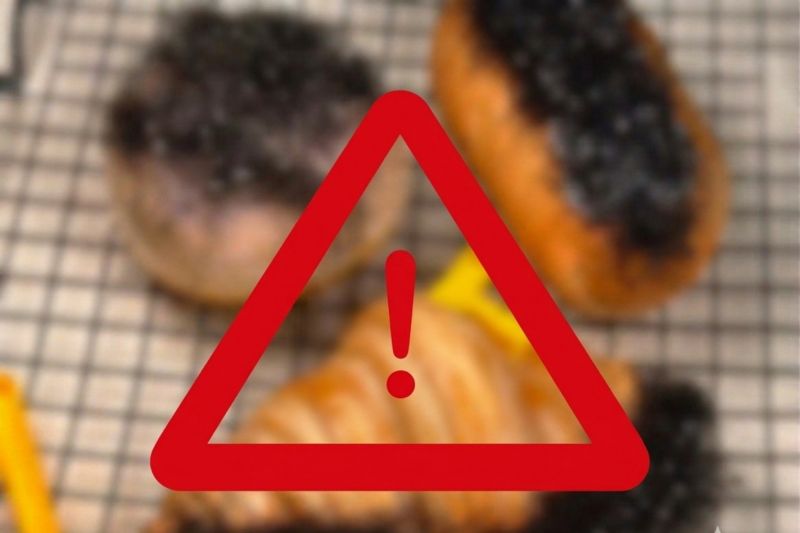 Viral Roti Croissant Pattaya Kemasan Erotis, LPPOM Jamin Tak Bakal Lolos Sertifikasi Halal