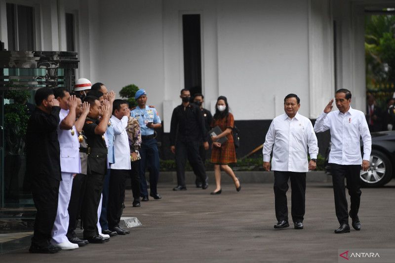 Muzani Sebut Prabowo Bicara Perdamaian Ukraina-Rusia agar Pupuk Dalam Negeri Tercukupi