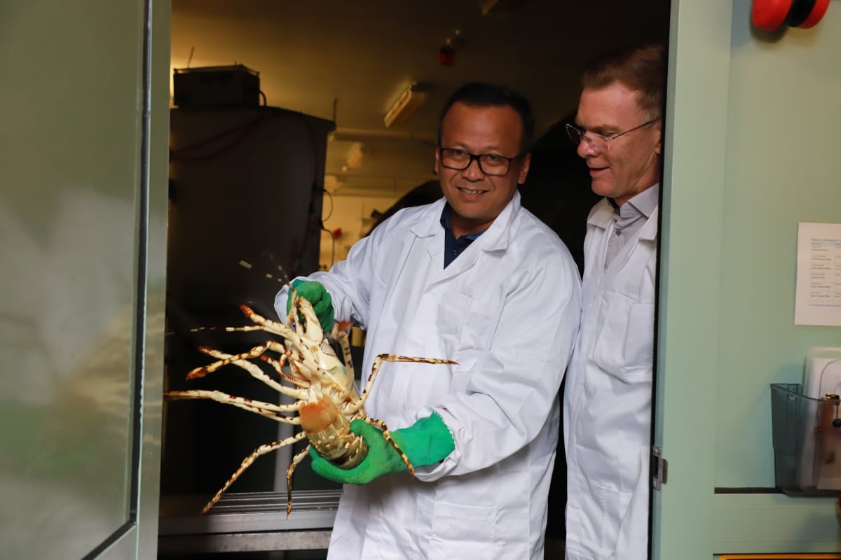 Menteri Edhy Prabowo tersangka suap ekspor benih lobster. (Foto: KKP)).