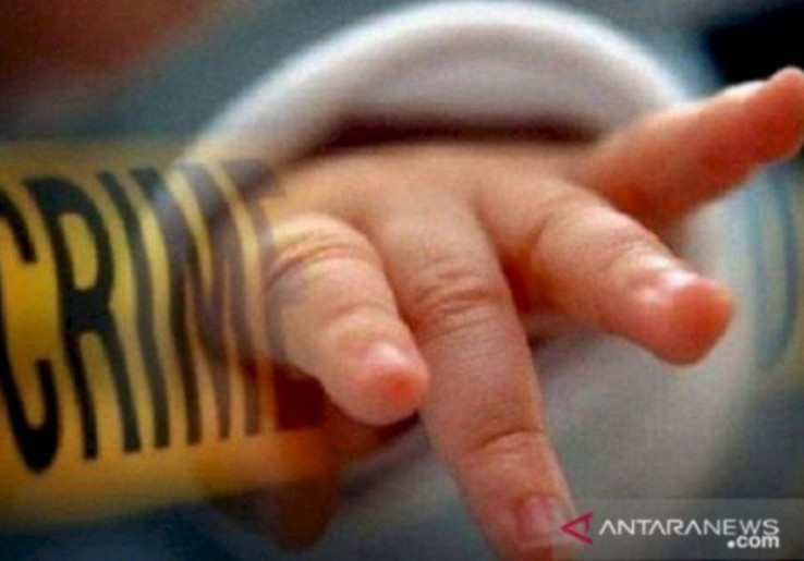 Dugaan Malapratik Amputasi Tangah Bayi Arumi, Majelis Profesi Periksa 89 Tenaga Medis Bima