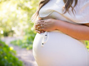 Penting, Asupan Protein bagi Ibu Hamil