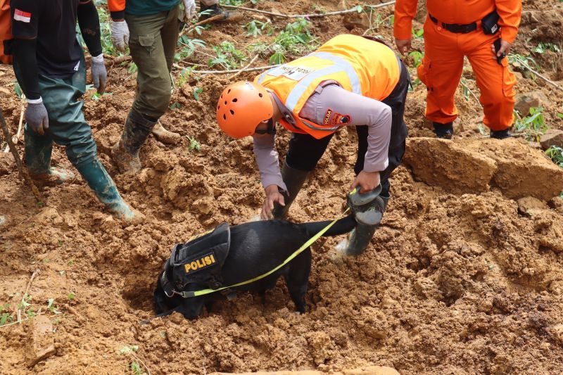 21 Orang Telah Ditemukan Meninggal, 5 Orang Korban Longsor di Pekalongan Masih Dicari