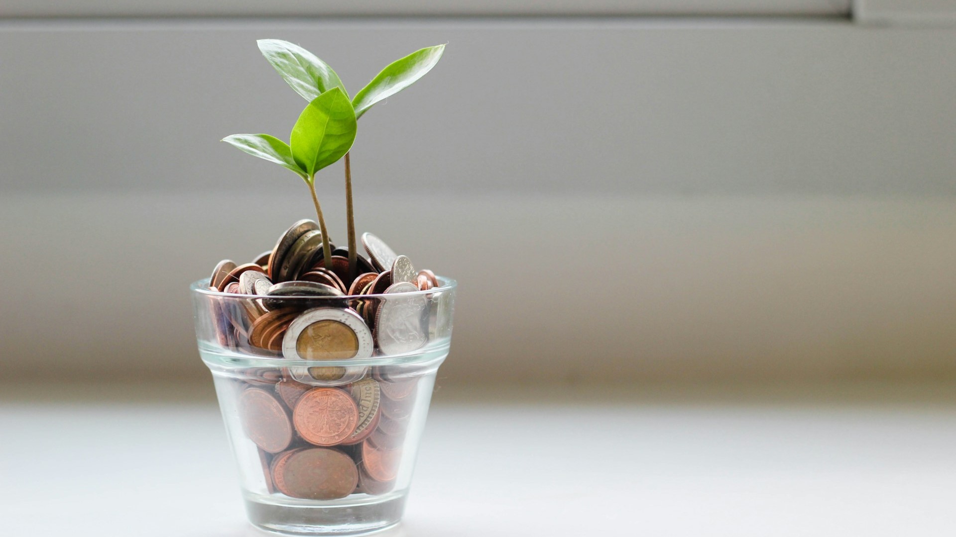Bagaimana Cara Mencapai Gaya Hidup Frugal Living?