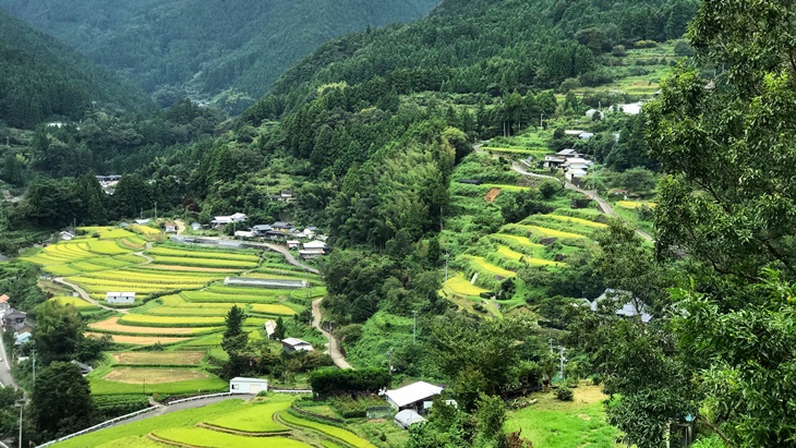 Belajar Jaga Kebersihan Lingkungan dari Kamikatsu, Kota 'Zero Waste' di Jepang