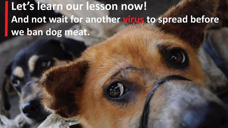 Dog Meat Free Indonesia Kampanyekan Stop Perdagangan dan Konsumsi Daging Anjing
