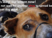 Dog Meat Free Indonesia Kampanyekan Stop Perdagangan dan Konsumsi Daging Anjing
