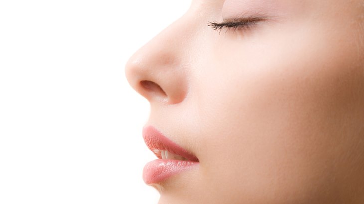 Rhinoplasty, Teknik Restorasi Hidung