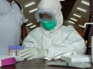 52 Tenaga Medis Papua Terpapar Virus Corona