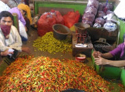 Harga Cabai di Surabaya Alami Kenaikan Setiap Beberapa Jam