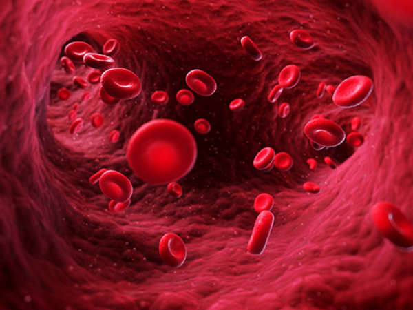 Membangun sel darah merah (Foto: Boldsky)