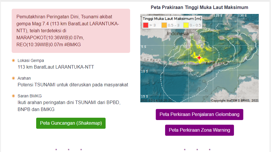 Tsunami Terdeteksi di 2 Titik di Nagekeo dan Manggarai NTT