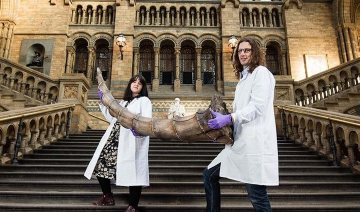 Mengenal Satwa Gaib di Natural History Mesum London