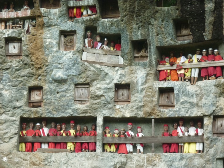 toraja
