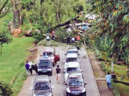 Pasutri Tewas Tertimpa Pohon di Lingkar UI Depok