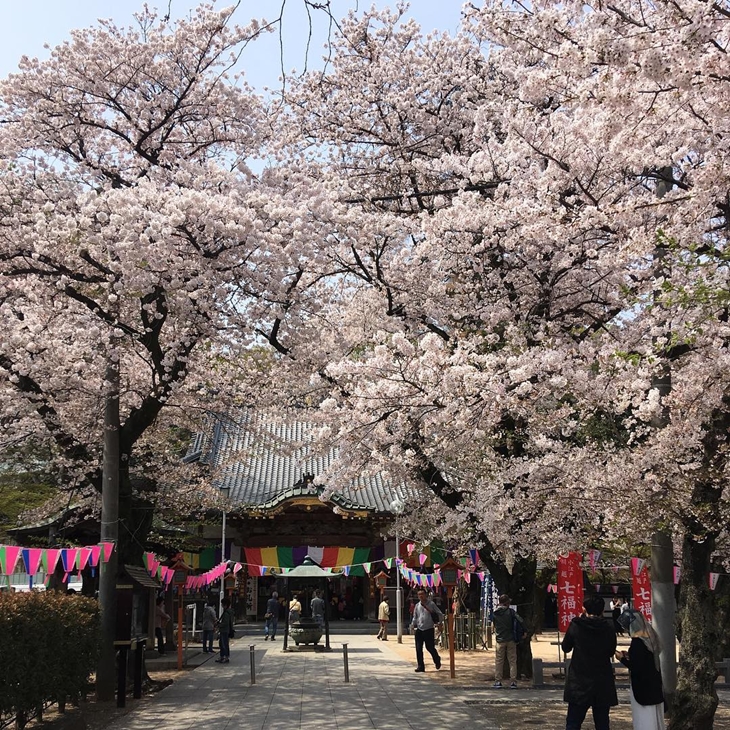 Ren Kei Ji Temple. (Foto: instagram.com/sweet_sensation_1974)