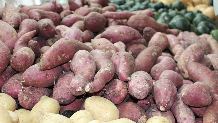 Petatas, Ubi Papua yang Cocok dengan Menu Apa Saja