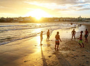 Fakta Menjijikkan Bola Hitam Misterius di Pantai Sydney  