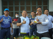 Bobotoh Senang Persib Bisa Kembali Merumput
