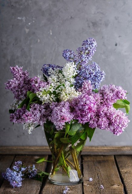 Bunga lilac identik dengan warna ungu pastel dan pink. (Foto pixabay/Daria-Yakovleva)