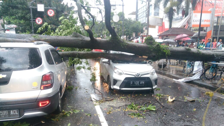 Hujan Angin Terjang Bandung, Dua Mobil Ringsek Tertimpa Pohon