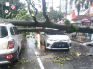 Hujan Angin Terjang Bandung, Dua Mobil Ringsek Tertimpa Pohon