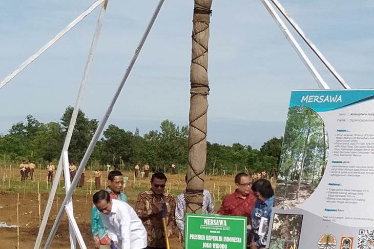 Presiden RI Ir H Joko Widodo saat meresmikan Hutan Pers Taman spesies endemik dalam rangkaian Hari Pers Nasional (HPN) tahun 2020 di Kalimantan Selatan.(ANTARA/Sukarli)