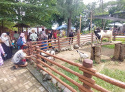 Hari Biasa Solo Safari Dikunjungi 500 Orang, Libur Nataru Sampai 3500 Pengunjung