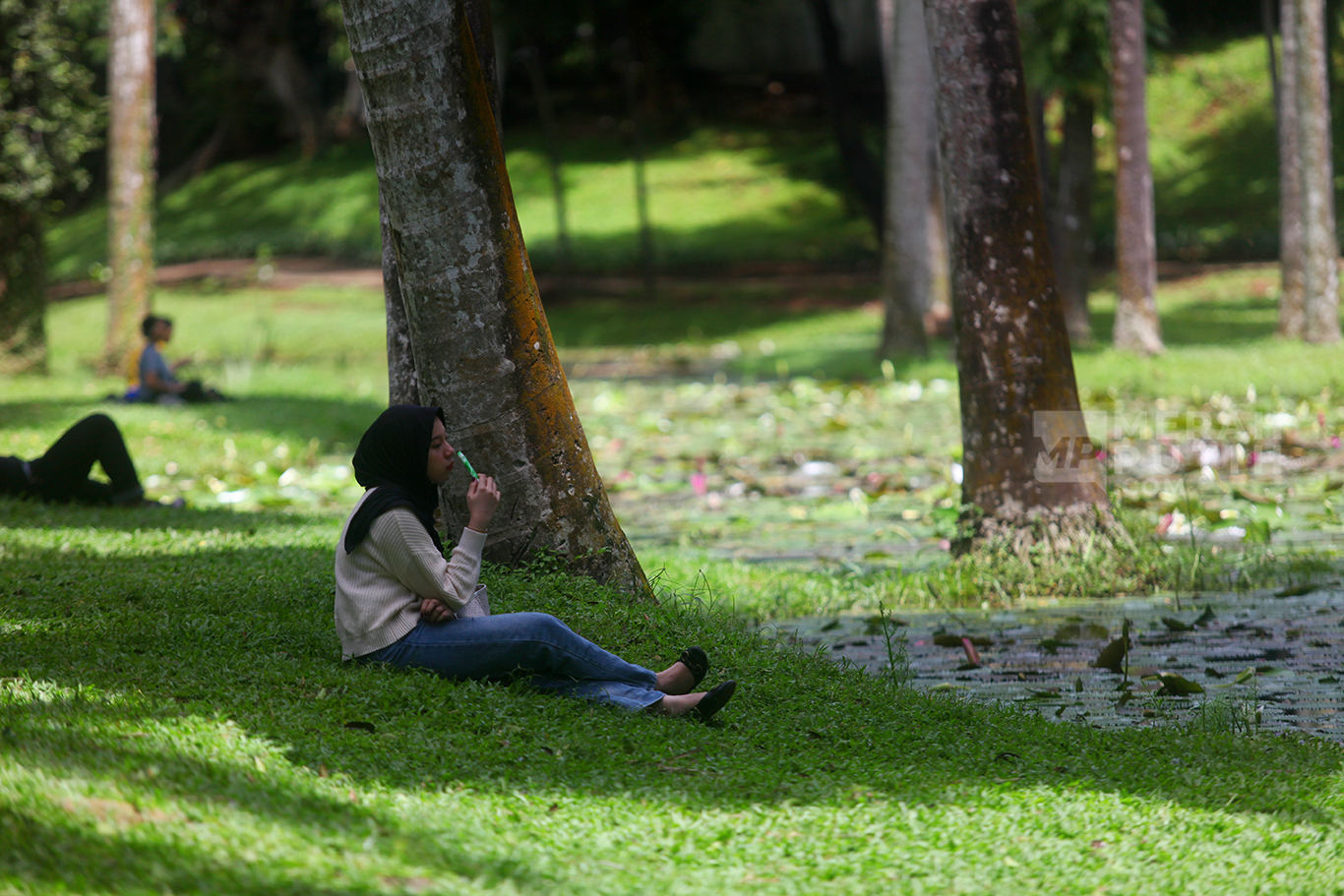 Deretan Taman dan Hutan Kota di Jakarta yang Akan Beroperasi 24 Jam