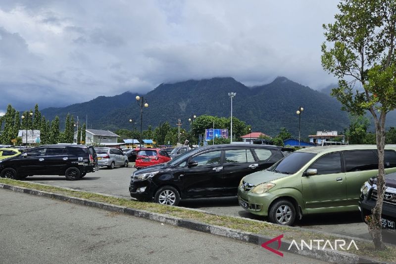 Hutan Lindung di Provinsi Papua Tinggal 8 Juta Hektar, Pemerintah Kesulitas Mengawasi