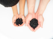 Kacang Hitam, Si Kecil Ampuh untuk Cegah Penyakit Kronis