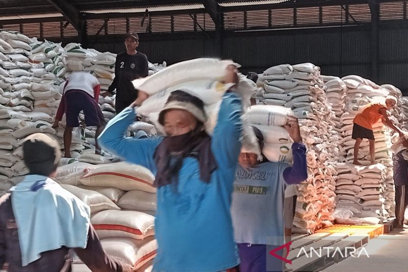 5 Aksi Badan Pangan Nasional Jaga Harga Beras