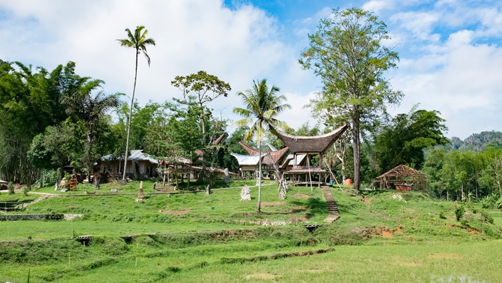 Passiliran Tradisi Pemakaman Bayi dalam Batang Pohon Desa Kambira, Toraja