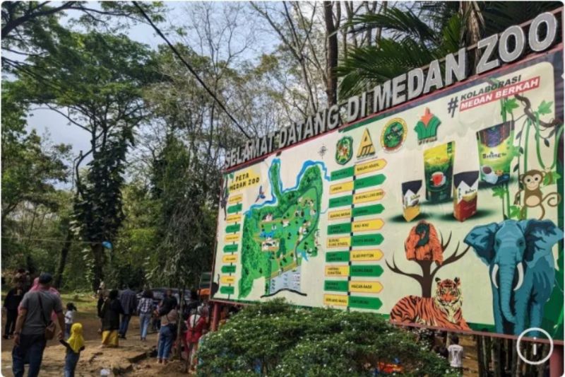 Hewan Dilindungi Mati, Izin Medan Zoo Bisa Dicabut