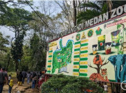 Hewan Dilindungi Mati, Izin Medan Zoo Bisa Dicabut