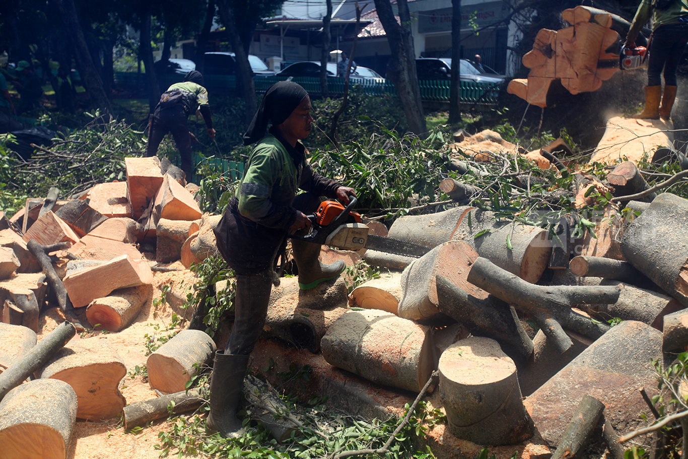 Petugas dari Suku Dinas Pertamanan dan Kehutanan saat melakukan penebangan pohon Beringin Raksasa yang tumbang pasca hujan deras kemarin sore di Jalan Darmawangsa Raya, Kebayoran Baru, Jakarta Selatan, Jum'at (31/10/2025).