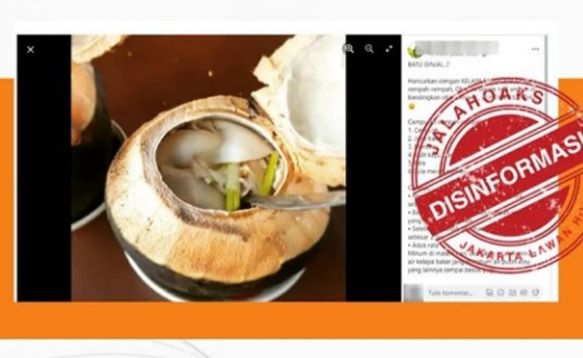 [HOAKS atau FAKTA] Air Kelapa Bakar Sembuhkan Penyakit Batu Ginjal