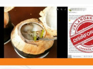 [HOAKS atau FAKTA] Air Kelapa Bakar Sembuhkan Penyakit Batu Ginjal
